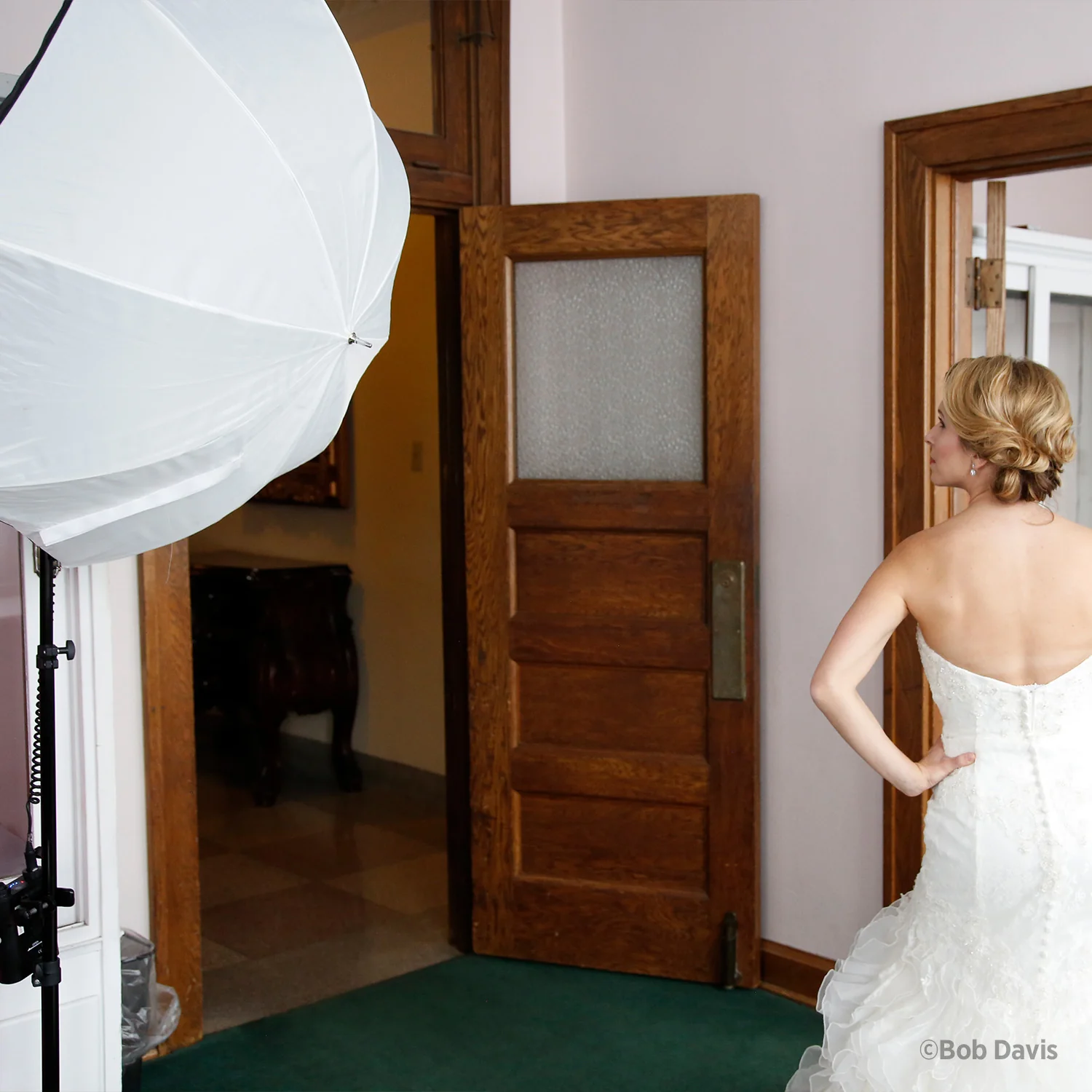 Halo Softbox (45") - Image 5