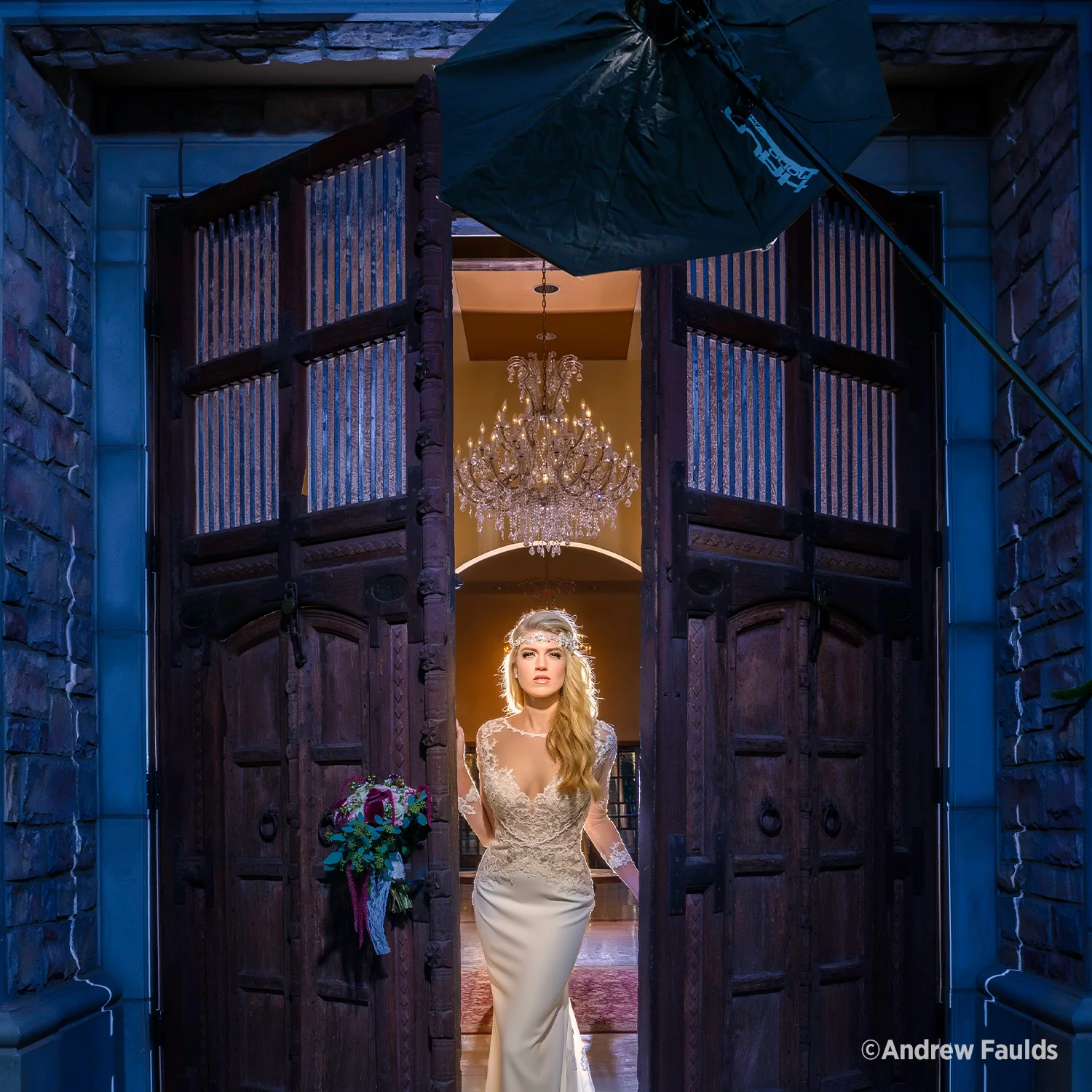 Halo Mono Softbox (45") - Image 3