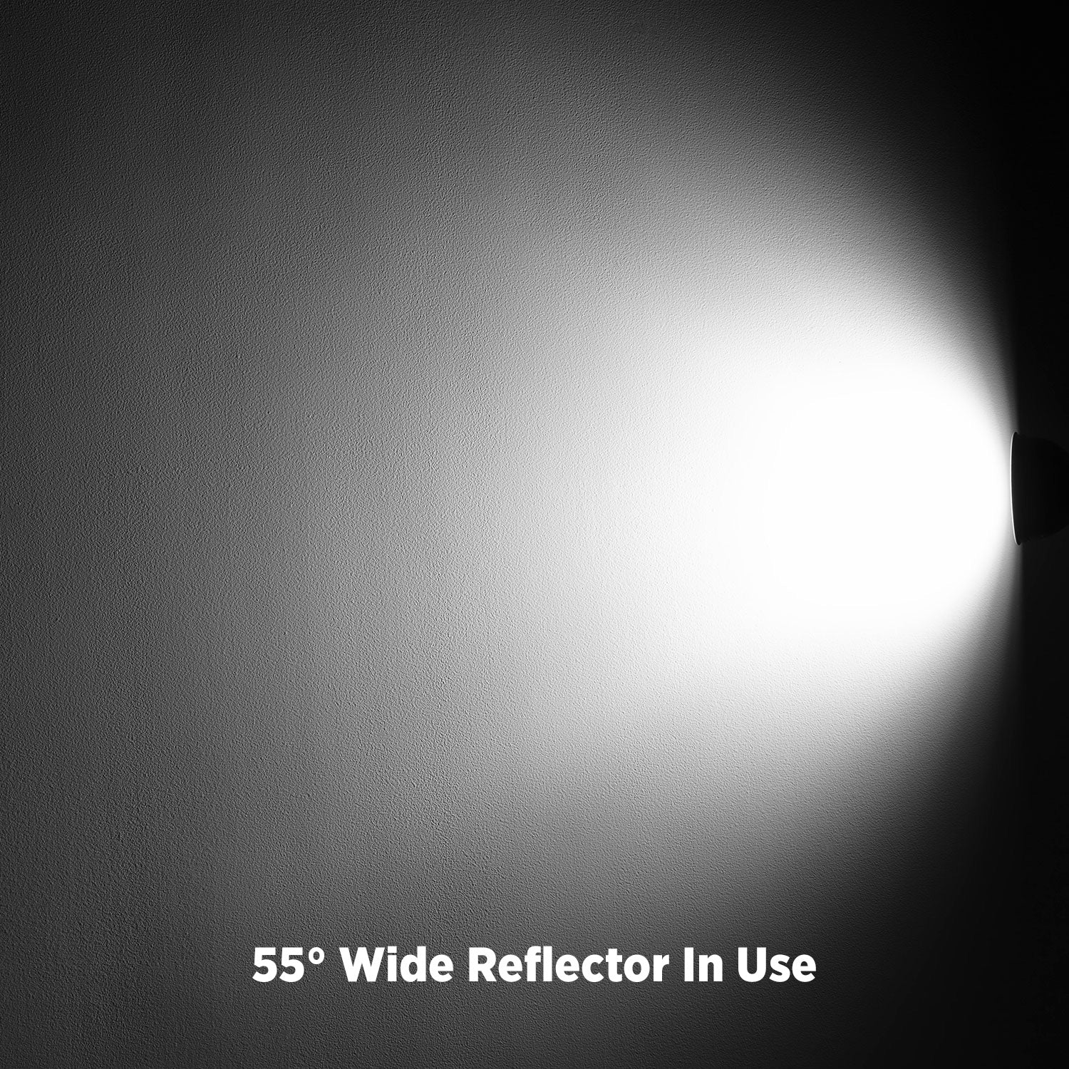55-Degree Wide Umbrella Reflector with Honeycomb Grids (FJ800, FJ400, FJ400 II, FJ400-SE, FJ250, Bowens) - Image 11