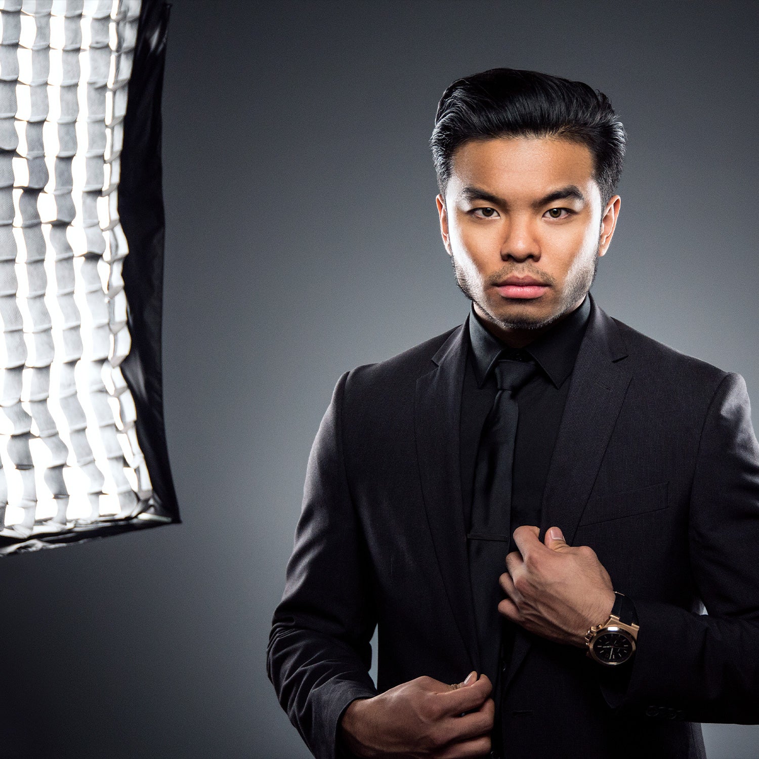 Apollo Strip Softbox with 40-Degree Grid (12" x 36") - Image 8