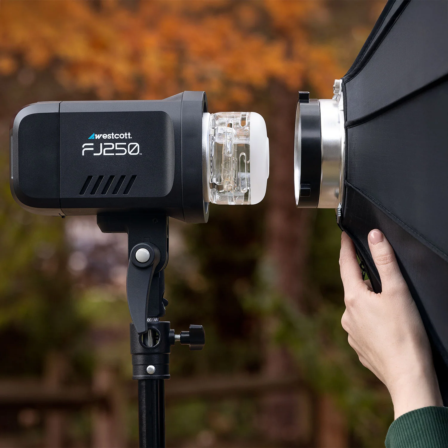 FJ250 Touchscreen Strobe with FJ Pro AC/DC Battery (250Ws) - Image 15