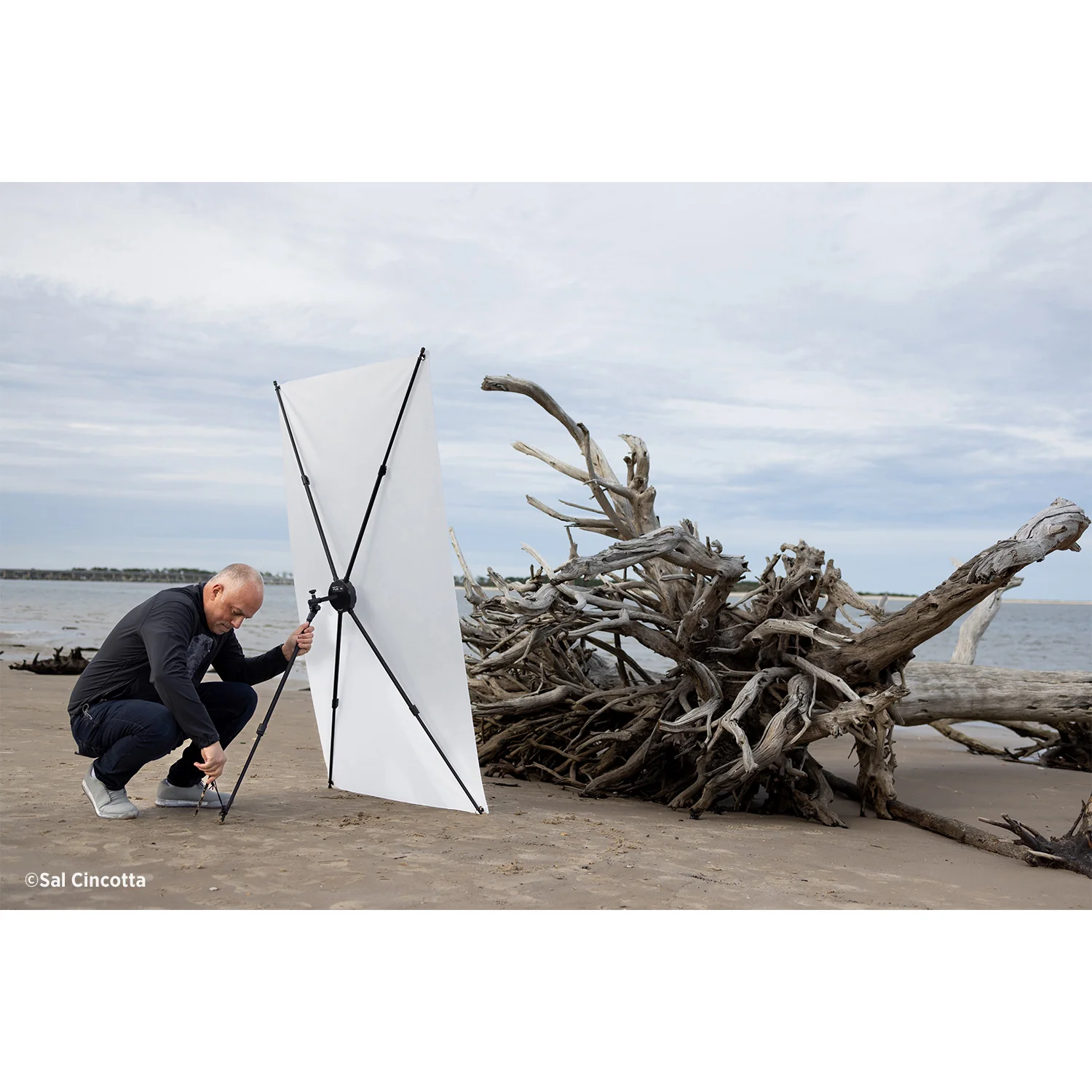 Fusion 10-in-1 Light Control System by Sal Cincotta - Image 8
