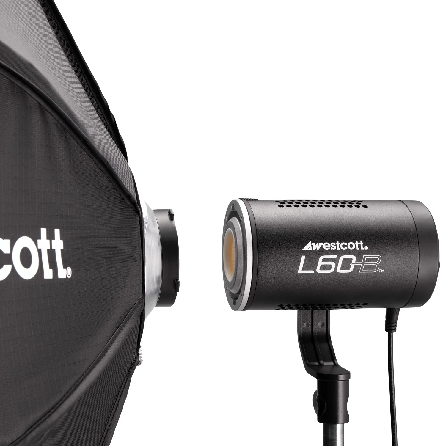 L60-B Bi-Color COB LED 2-Light Backpack Kit - Image 6