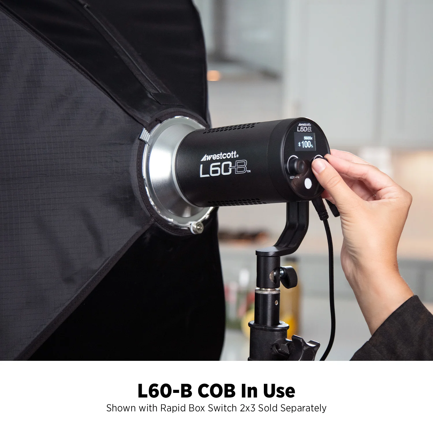 L60-B Bi-Color COB LED 3-Light Backpack Kit - Image 8