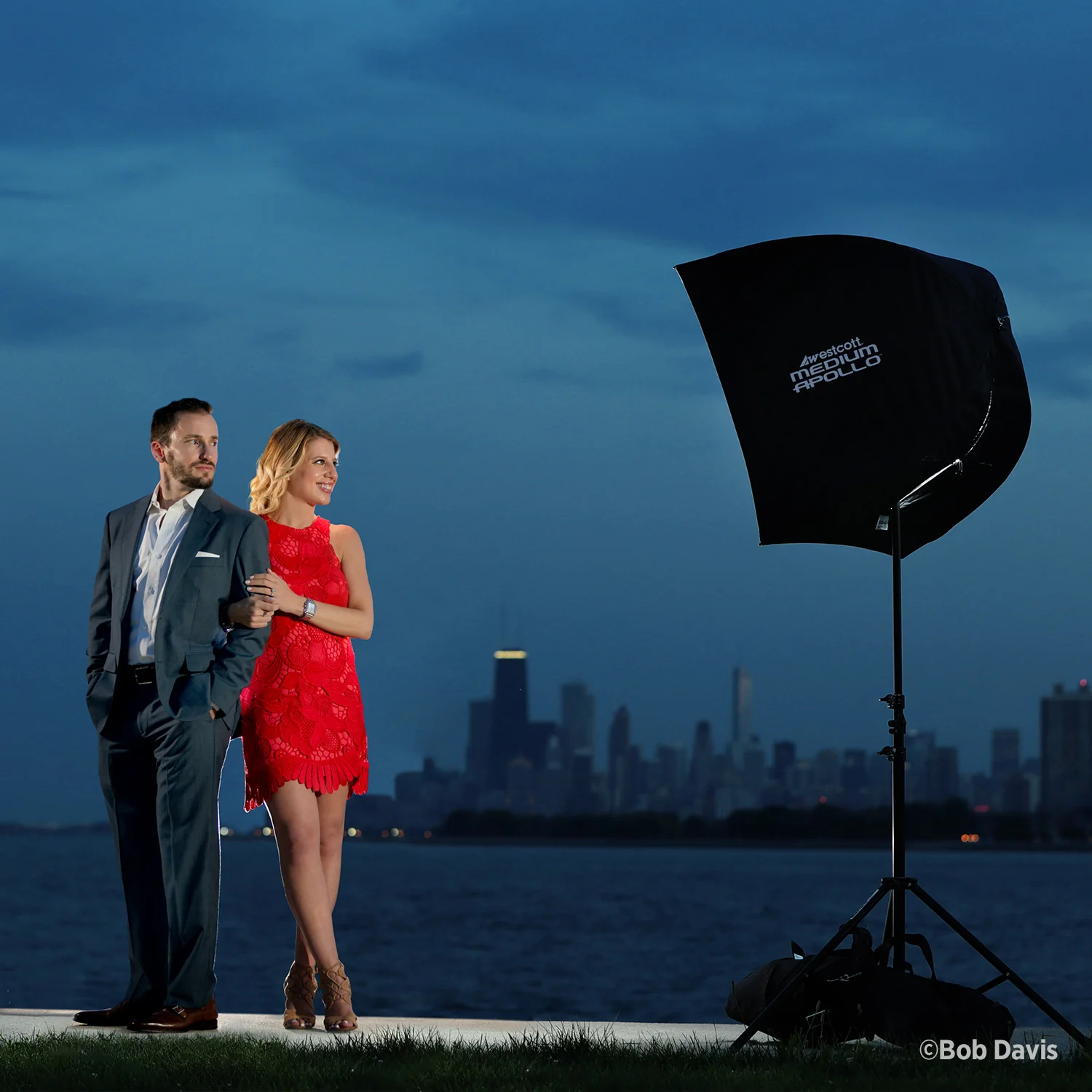 Medium Apollo Softbox with 40-Degree Grid (28") - Image 4