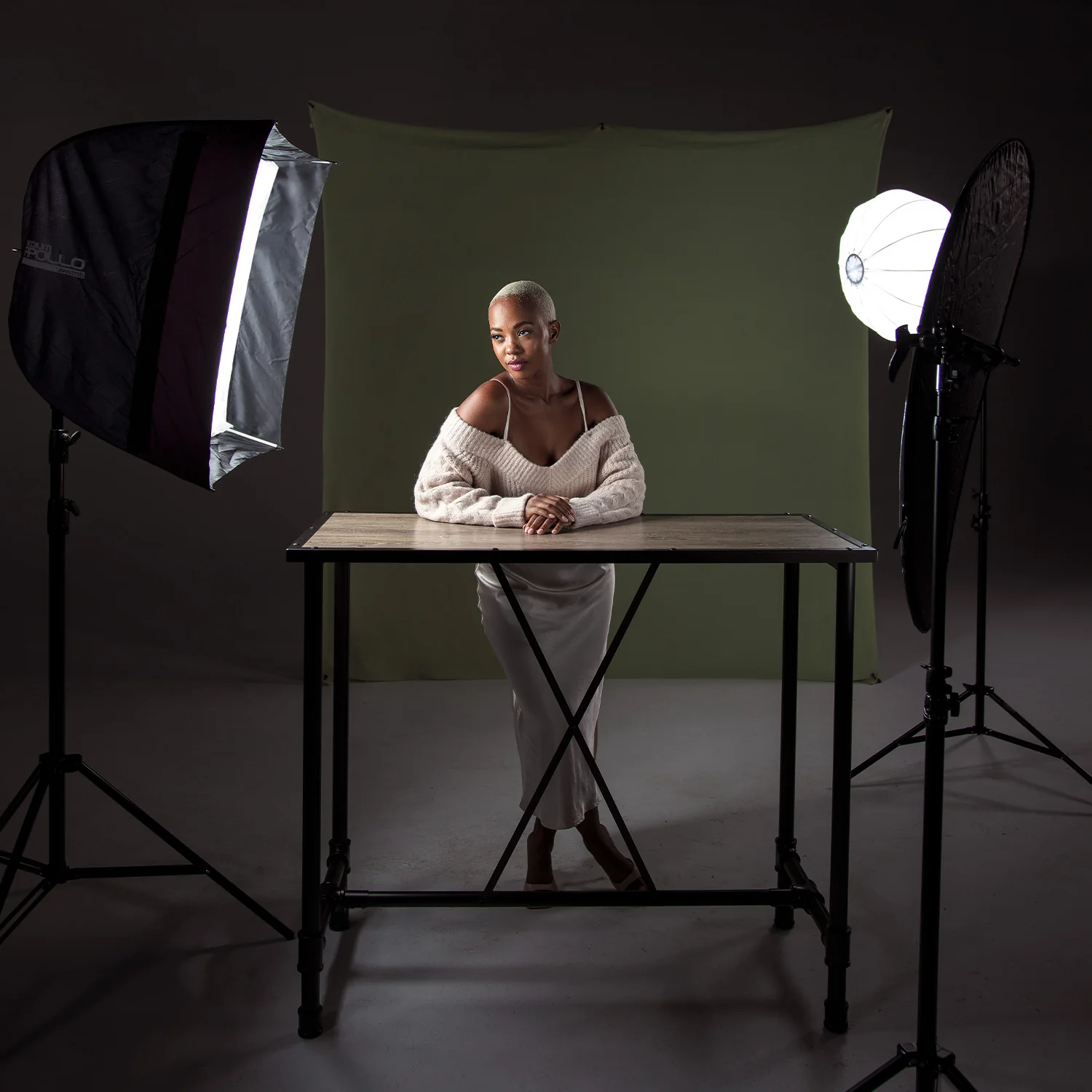 Medium Apollo Softbox with 40-Degree Grid (28") - Image 5