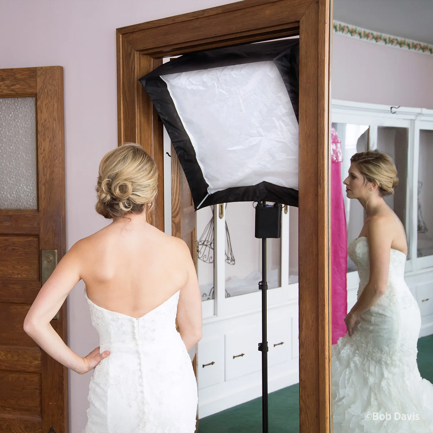 Medium Apollo Softbox with 40-Degree Grid (28") - Image 6