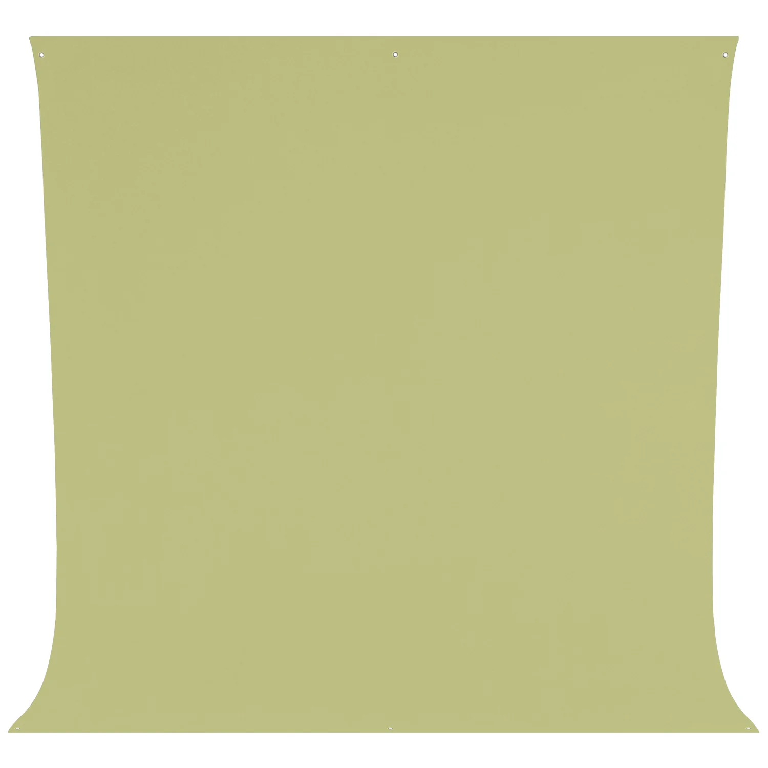 Wrinkle-Resistant Backdrop - Light Moss Green (9' x 10')