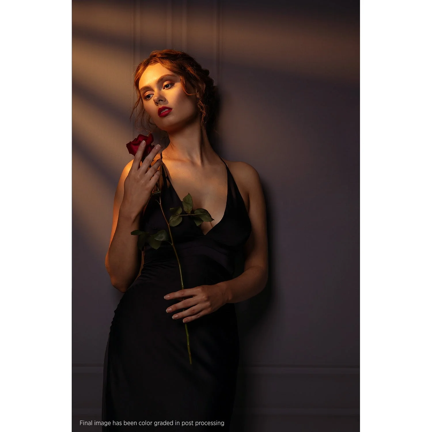 X-Drop Canvas Backdrop - Dark Wall Molding (5' x 7') - Image 4
