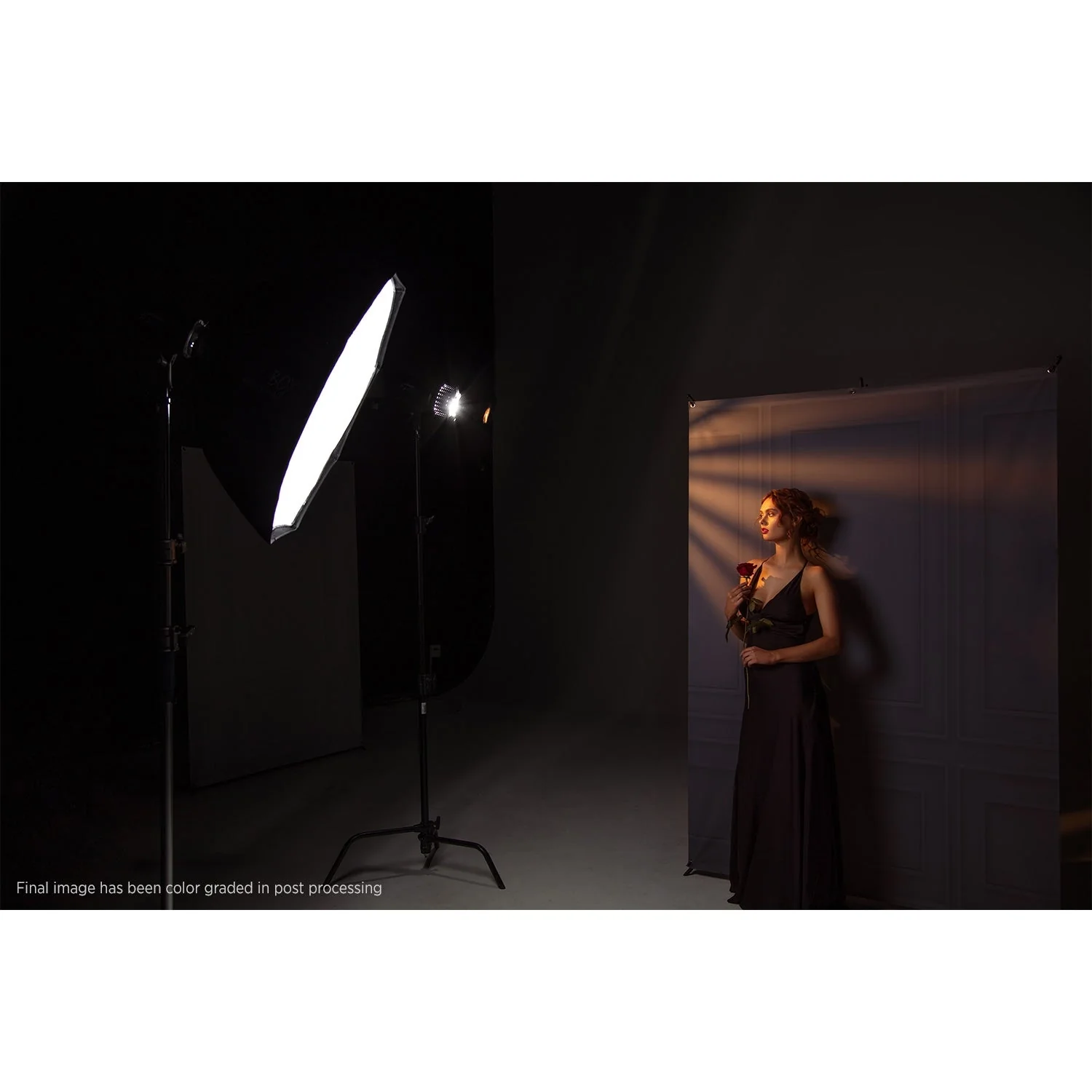 X-Drop Canvas Backdrop - Dark Wall Molding (5' x 7') - Image 5