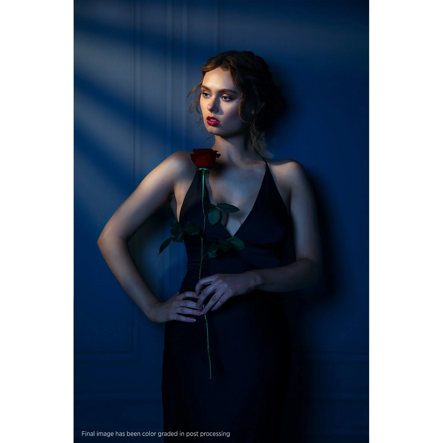 X-Drop Canvas Backdrop - Dark Wall Molding (5' x 7') - Image 6