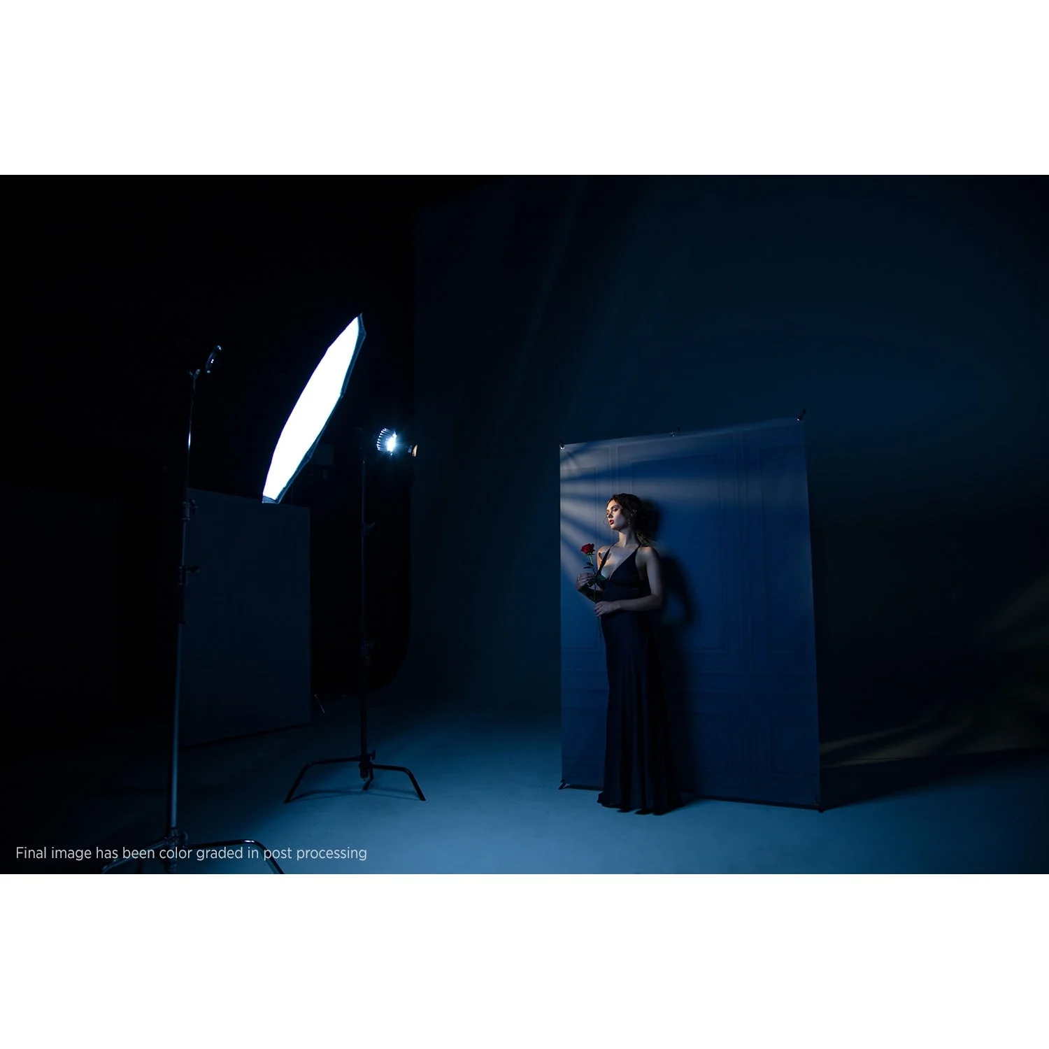 X-Drop Canvas Backdrop - Dark Wall Molding (5' x 7') - Image 7
