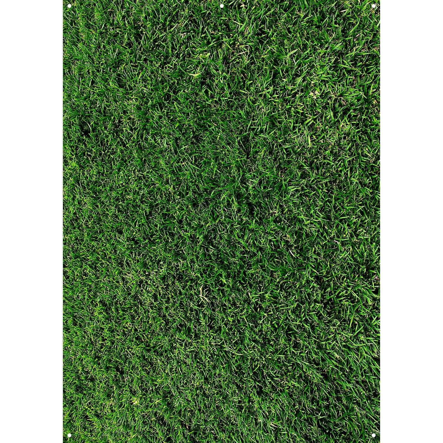 X-Drop Canvas Backdrop - Green Grass (5' x 7')