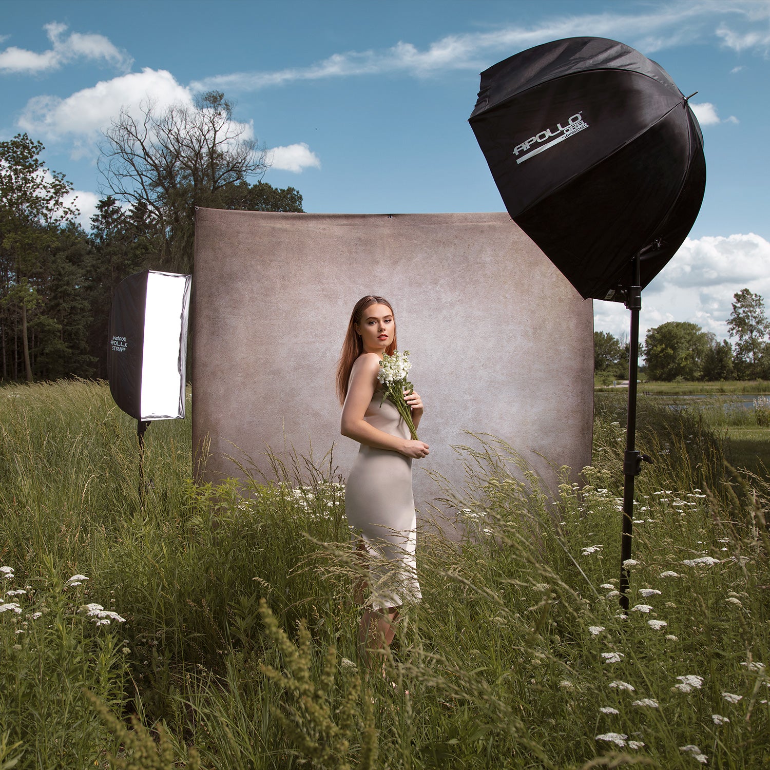 X-Drop Pro Fabric Backdrop - Parchment Paper by Joel Grimes (8' x 8') - Image 3