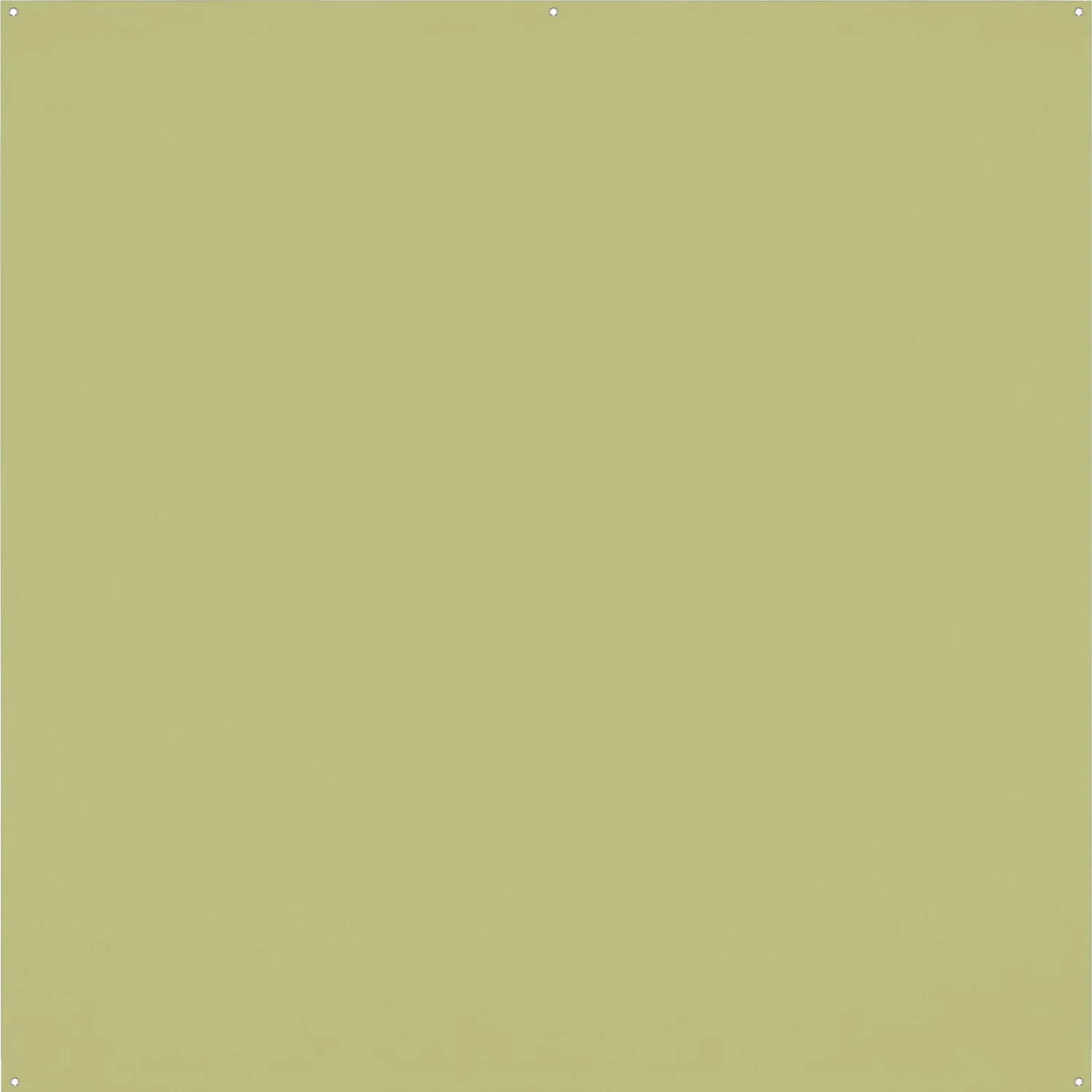 X-Drop Pro Wrinkle-Resistant Backdrop - Light Moss Green (8' x 8')